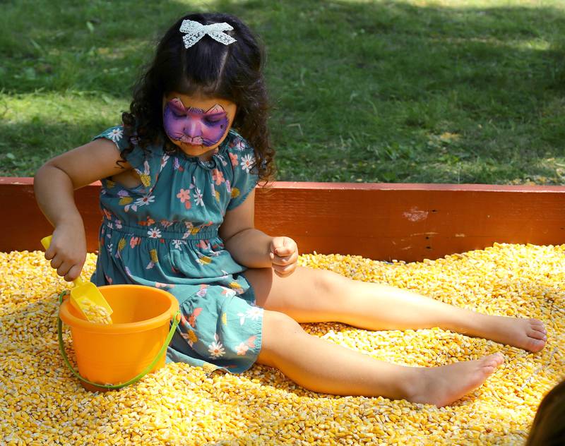 Amira Karwa, 4, plays in the corn box at the Kendall County Fair in Yorkville on Saturday, Aug. 2, 2025.