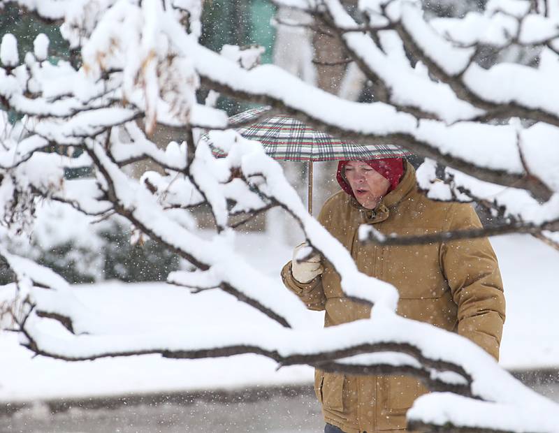 A pedestrian carries an umbrella while walking through the snow on Wednesday, Jan. 25, 2023 downtown La Salle.