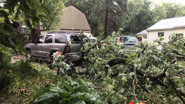 Storm knocks out power, trees in McHenry County Saturday