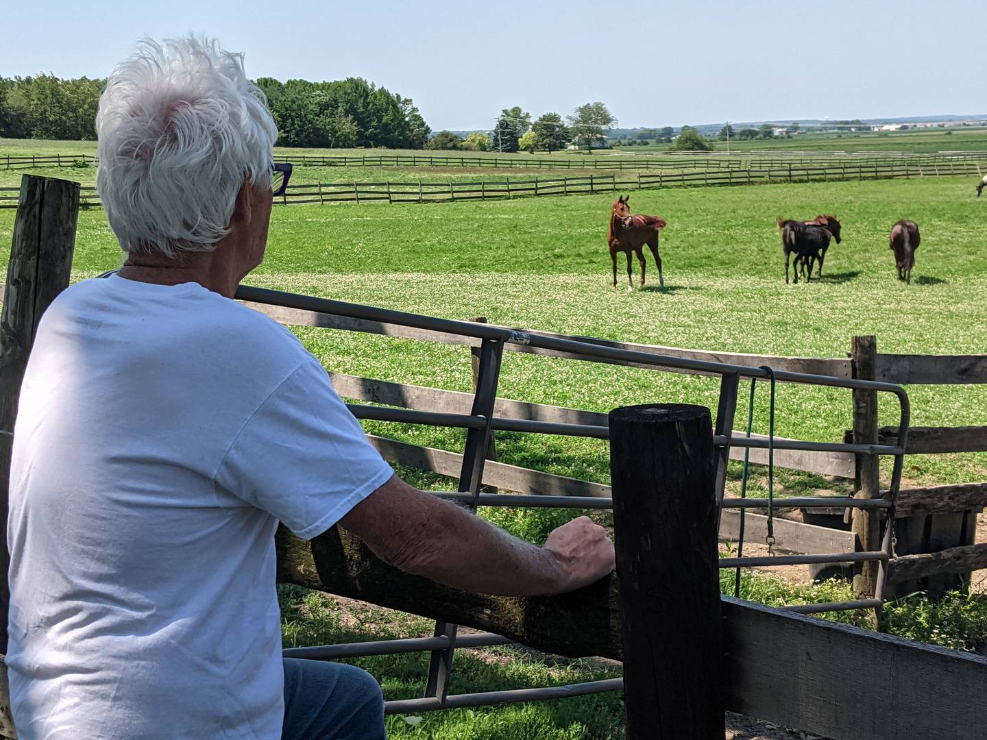 None of the horses at Bruce Grider's Valley View Farm on Roth Road in Oswego Township were injured during Monday's tornado.