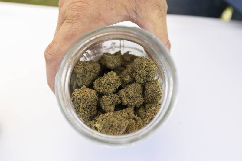 A jar of buds from Peaceful Pines Hemp Farms is shown Friday, July 12, 2024 at Herbal Roots’ Cannafest at Elks Page Park. The farm grows and processes THCA plants.