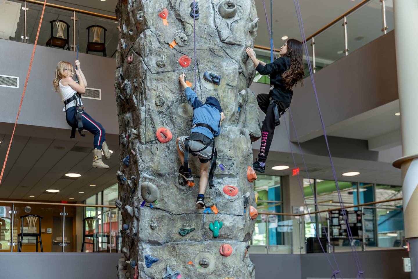 Spend the day climbing when the weather is too cold and the kids are bored.