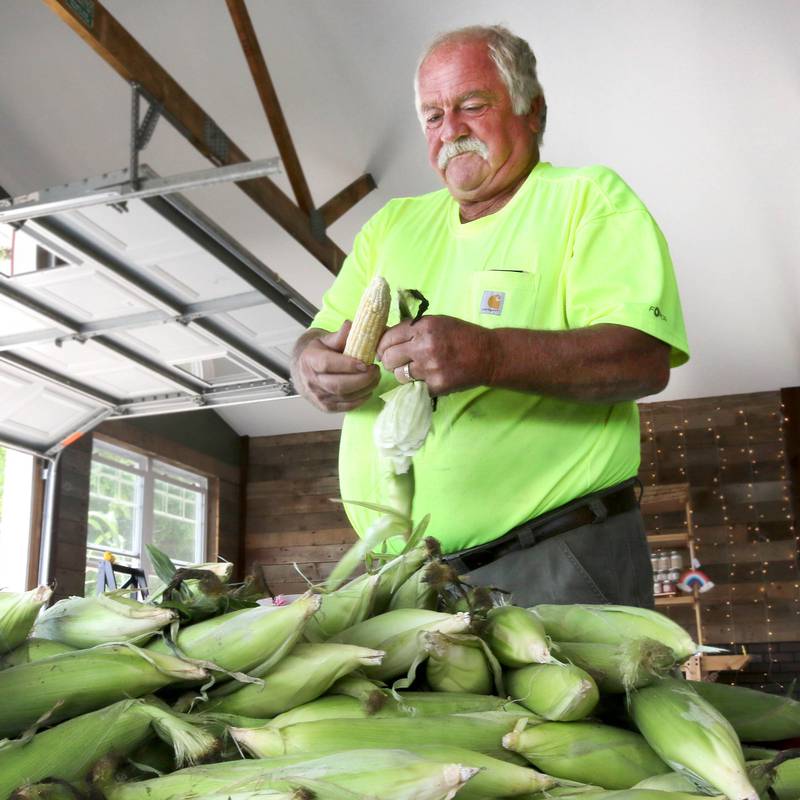 Rob Wessels, owner of Wessels’ Family Farm, shucks an ear of sweet corn Thursday, July, 18, 2024, at the market in DeKalb.