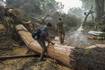 Death toll in central Texas flash floods rises to 78 as sheriff says 10 campers remain missing
