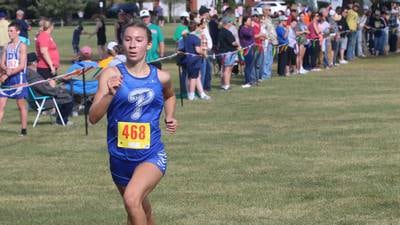 2024 NewsTribune Girls Cross Country All-Area Team