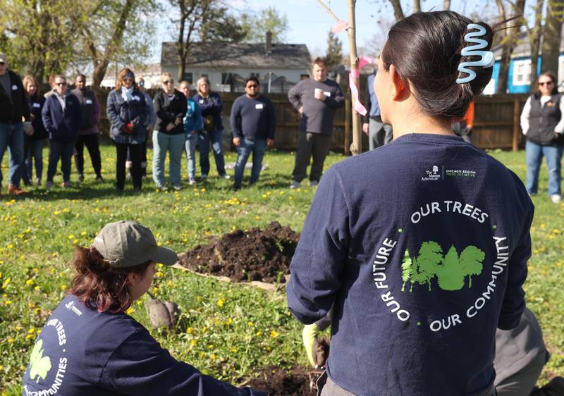 Employees of the Morton Arboretum instruct volunteers on the proper way to plant trees Tuesday, April 21, 2026, during the planting event at Elder Care Services in DeKalb. Several trees were planted by volunteers at the location to kick off the DeKalb Township’s 250 Trees for Tomorrow initiative.
