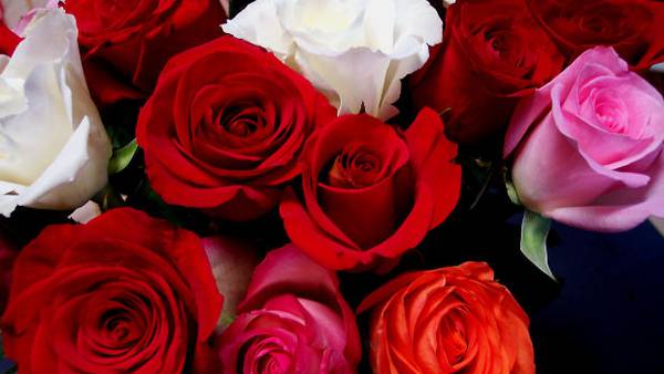 Culinary, Valentine’s Day events in downtown Wheaton 