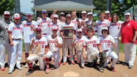 Baseball: Cole Martin’s walk-off sac fly lifts Streator to 3A regional title
