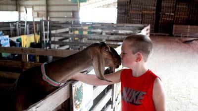 Old favorites, new acts returning to Kane County Fair