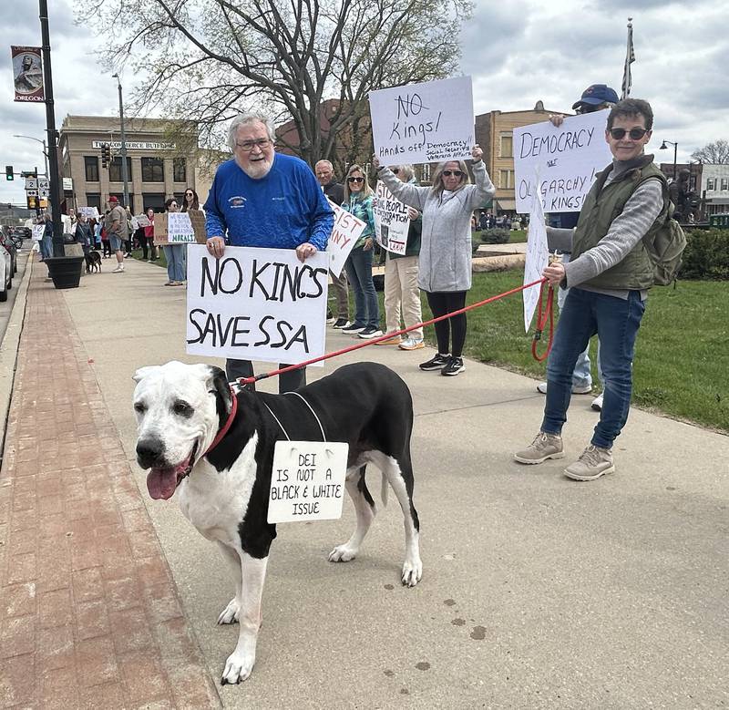 Mollie Krecklow, of Leaf River, holds the leash of her dog, Bentley, as they take part in a Hands Off rally on Saturday, April 19, 2025 around the historic Ogle County Courthouse in Oregon. Participants carried signs critical of the Trump administration. Bentley's sign said "DEI is not a black and white issue".