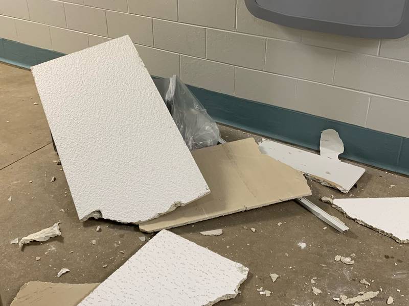 Two teenagers allegedly filmed themselves damaging the Crystal Lake Main Beach bathroom on May 17, 2022, park district officials said. The video, posted on social media, was forwarded to police.