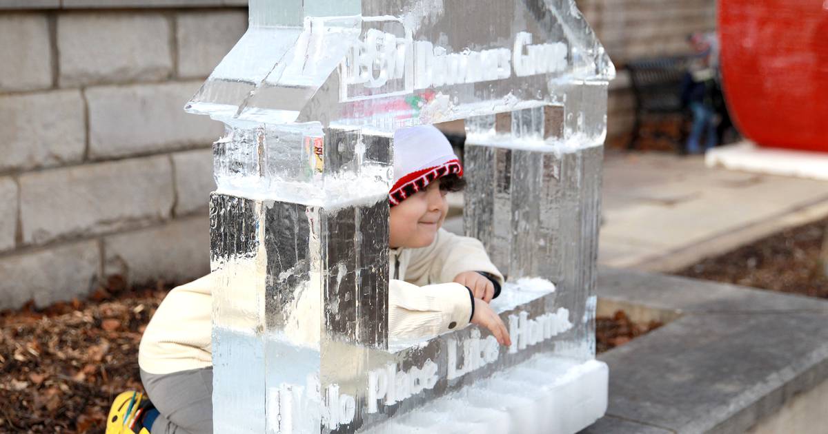 5 Things to Do: Downers Grove Ice Festival, Chocolate Weekend at Morton Arboretum