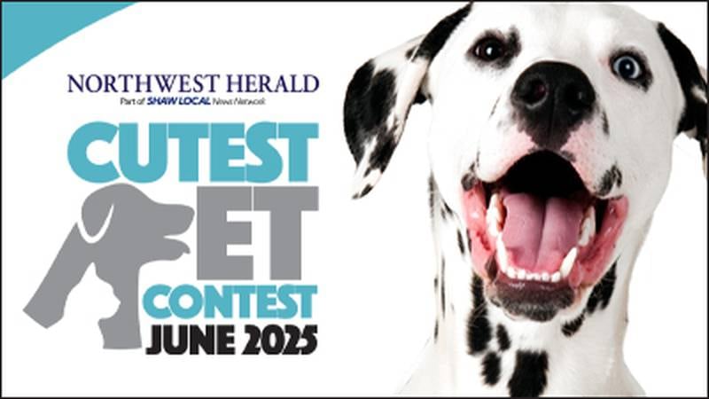 NWH June 2025 Cutest Pet