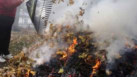 Leaf disposal, cost an issue for some as burning ban nears in Lake County
