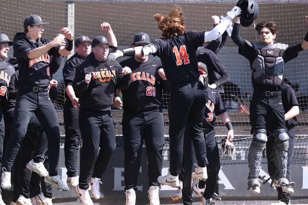 Daily Chronicle 2025 All-Area Baseball Team