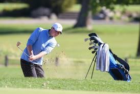 Photos: Class 3A Oswego Sectional boys golf at Blackberry Oaks
