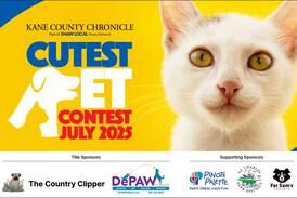 Voting is open for July’s Cutest Pet Contest