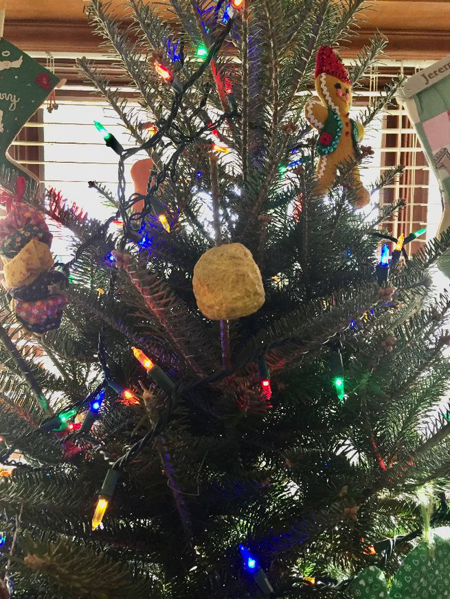 An ornament shared by Donna Brandt