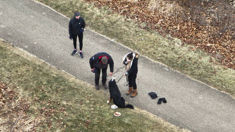 Charlie, a Bernese mountain dog from Crystal Lake, went missing on New Year's Eve. He was found on Sunday, Jan. 5, 2025, with the help of Mike Smith of SmithicAir and his thermal drone.