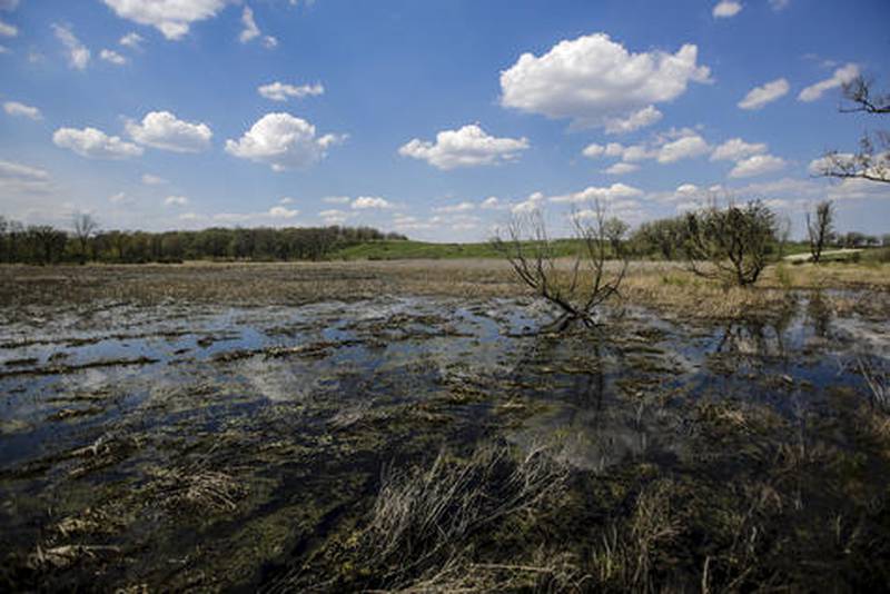 A 2013 file photo of Glacial Park Conservation Area near Ringwood.