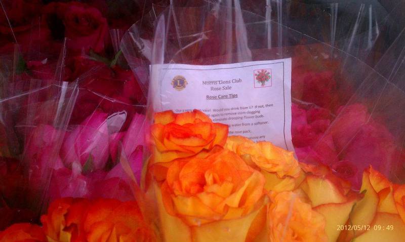 Morris Lion’s Club roses will be ready for delivery on Saturday, May 11th. Roses may be ordered from any Morris Lion, by calling 815-942-6634 or online at https://morrislionsclub.com/fundraisers/rose-sale/.