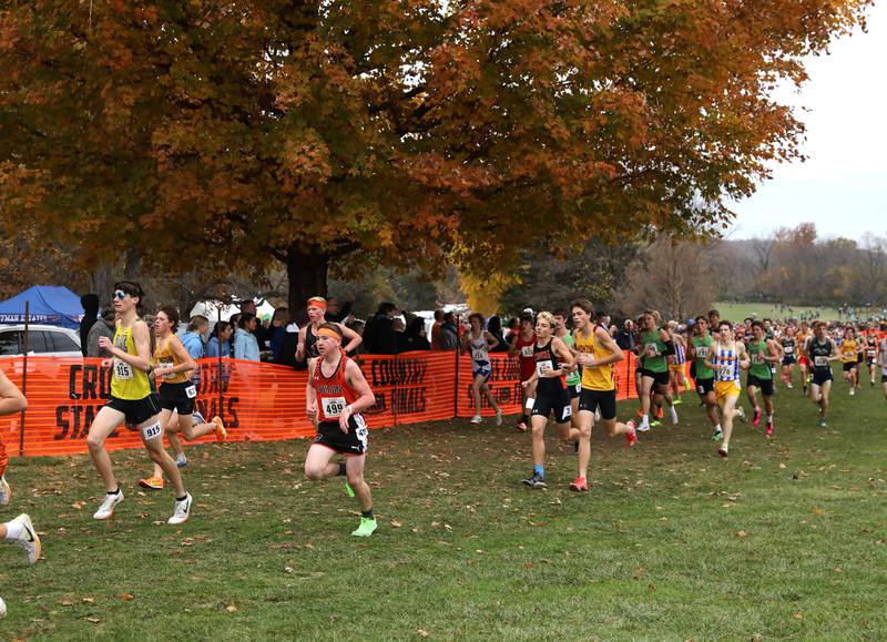 Runners compete in the Class 1A State Cross Country Championships on Saturday, Nov. 9, 2024 at Detweiller Park in Peoria.