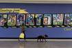 Yorktown Center to host ‘Dog Days of Summer’ series for shoppers and  4-legged friends 