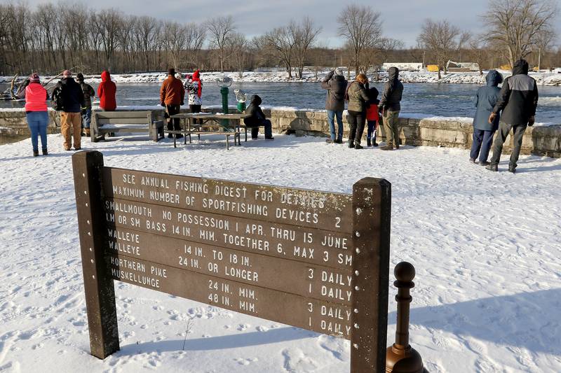Spectators line the Fox River during an eagle watch event at McHenry Dam State Park in January 2021.