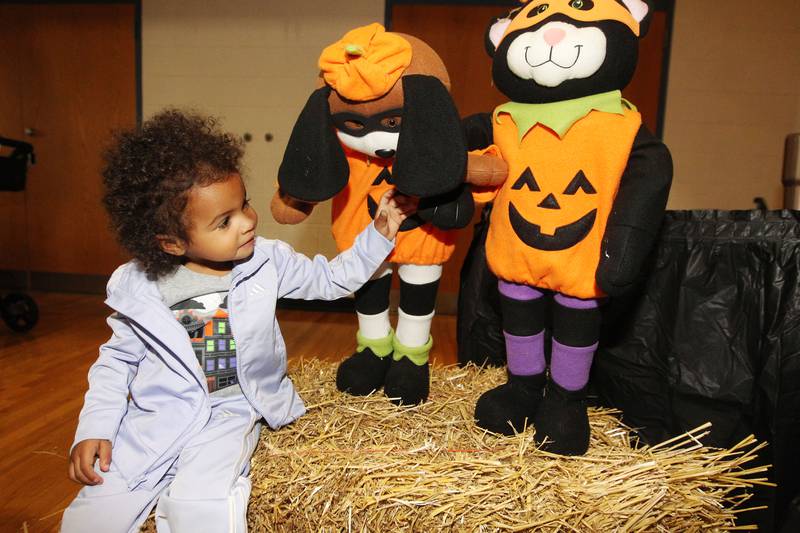 Layla Randall, 2, of Gurnee checks out the pumpkin decorations during Witchy Thrills & Chills at the Lindenhurst Park District Lippert Community Center on October 14th in Lindenhurst. Layla was at the event with her father, Josh, and brother, Levi, 6.
Photo by Candace H. Johnson for Shaw Local News Network