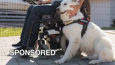 Five Things To Know For National Service Dog Month