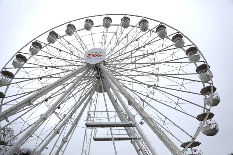 The Brookfield Zoo opened a 110-foot Ferris wheel in honor of the zoo’s 90th anniversary on Friday, March 15, 2024. The Ferris wheel offers guests unique bird’s-eye views of the park’s gardens, animal habitats and Chicago skyline.