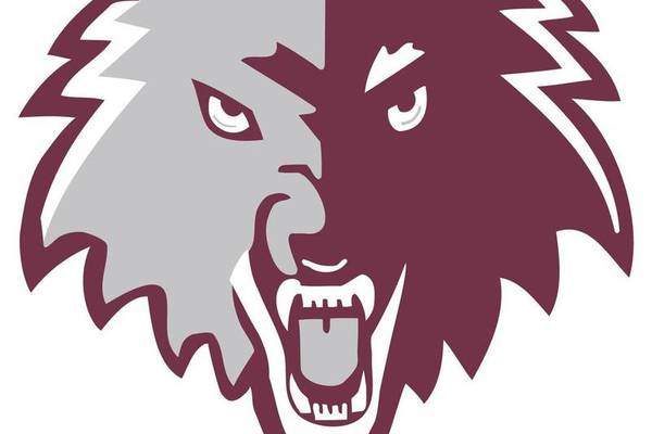 Maddon McKim’s grand slam lifts Prairie Ridge: Monday’s Northwest Herald roundup