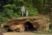 Scenic trails along the Fox River