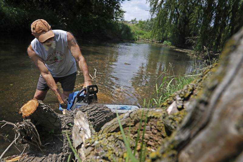 Mike Church removes a tree in the Kishwaukee River on Monday, June 17, 2024, at Siems Memorial Park near Union. Members of the Paddle the Kish group have finished clearing the Kishwaukee River between Union Marengo area so it can be paddled in kayaks.