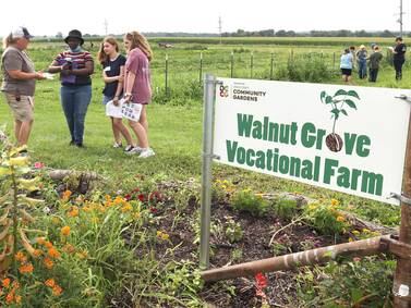 DeKalb County Community Gardens awarded state funds to aid area food insecurity