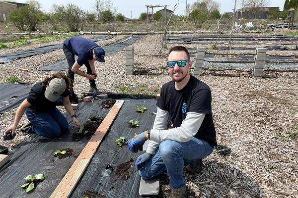 Sycamore company grows volunteers, and food, for Earth Day