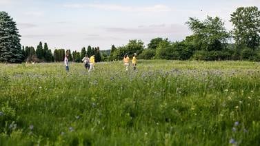 Summer in the Preserves plants seeds for the future   
