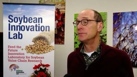 U of I soybean lab’s pending closure due to USAID cuts hinders global disease research