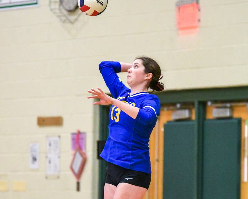 Lyons Township's Taylor Carroll (13) serves the ball during the regional title game while taking on York on Thursday Oct. 30, 2025, held at York High School.