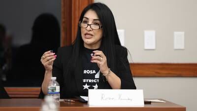 Joliet Mayor Terry D’Arcy replaces Rosa Hernandez on Joliet police board