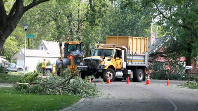 Batavia cleaning up after Sunday storm knocks down trees, powerlines