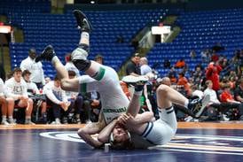 Photos: Northern Illinois high schools take home state titles at IHSA dual team wrestling