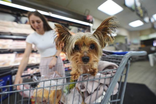 Retail sales up 0.6% in August from July even as tariffs hurt jobs and lead to price hikes