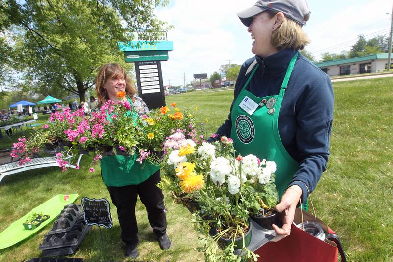 Kim Hartmann, of Gurnee, and Annie Caliendo, of Grayslake, both master gardeners, share a laugh Saturday, May 20, 2023, as they put out some annuals while working during the Lake County Extension Master Gardener Spring Plant Sale at the University of Illinois Extension in Grayslake.