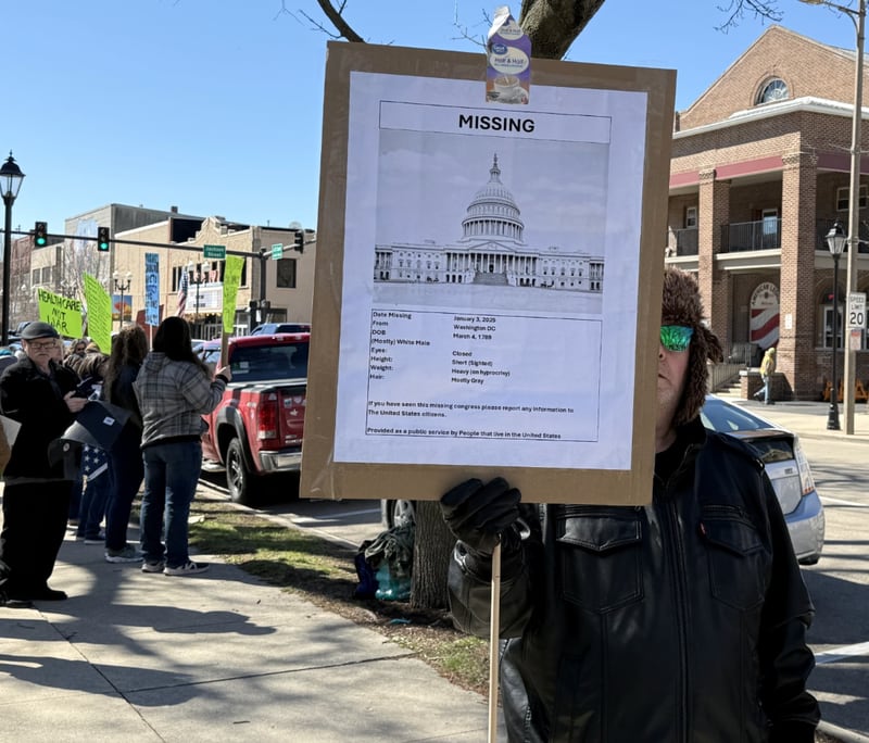 Citizens gather for the "No Kings Rally" on Saturday, March 28 in Ottawa.