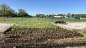 Down The Garden Path: Keeping rain where it lands