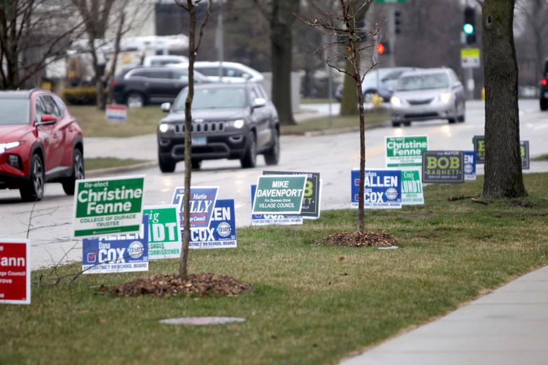 Campaign signs line a street in Downers Grove for the Consolidated Election on Tuesday, April 3, 2023.