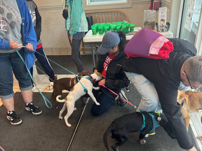 Church of the Good Shepherd and Rover Rescue partnered for a Dog Adoption Event on Sunday, May 26, that took place at the church, 5 W. Washington St.