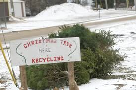 Christmas tree recycling available in Ogle County