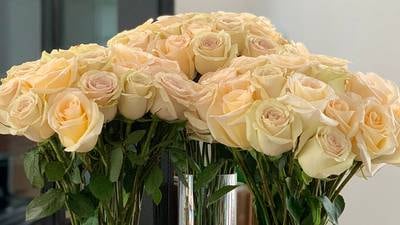 Get a dozen cream roses for Valentine’s Day for $39 